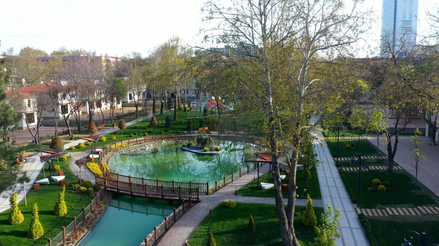 saracoglu--8230-20241103120249