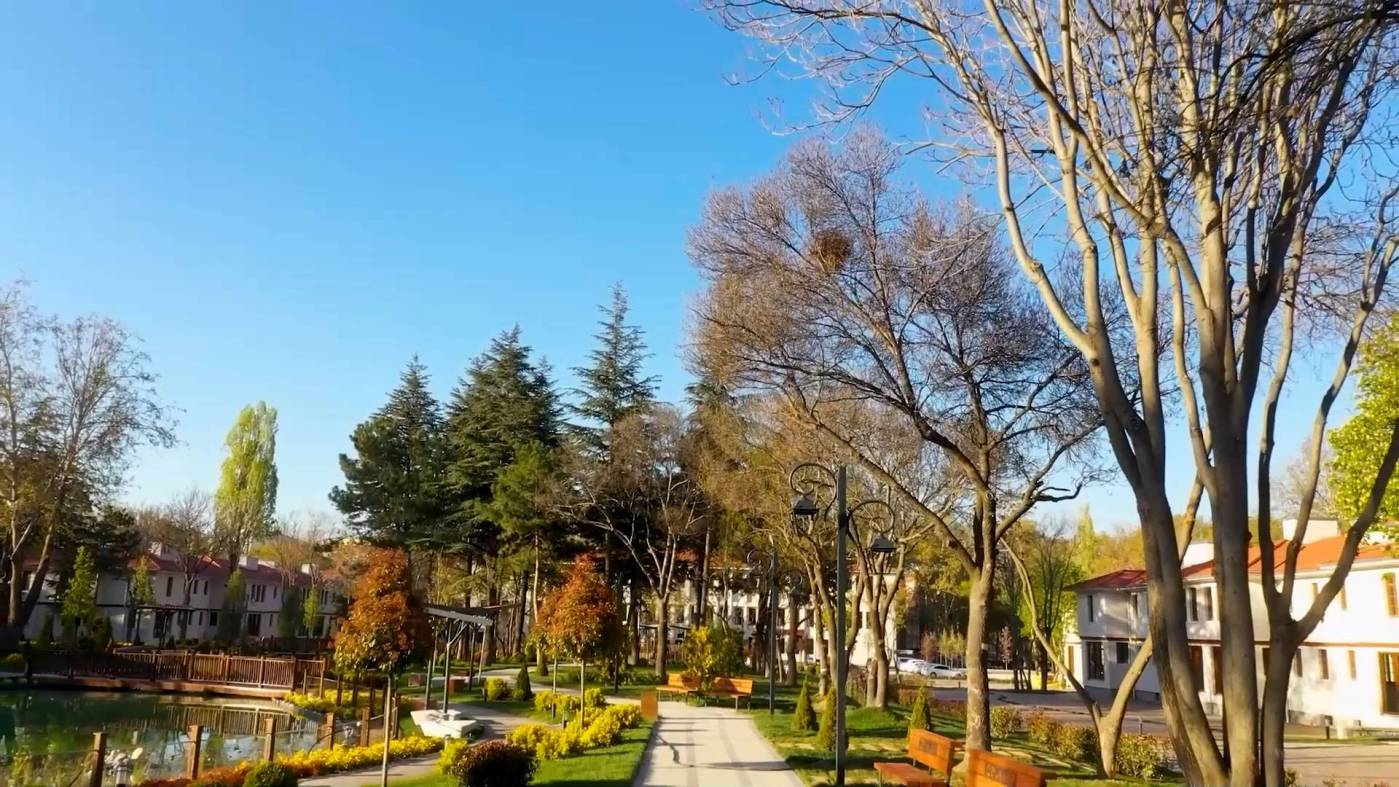 saracoglu--8230-20241103120312
