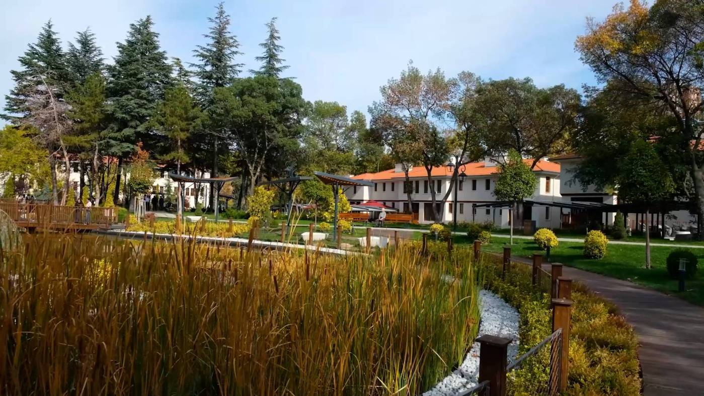 saracoglu--8230-20241103120315