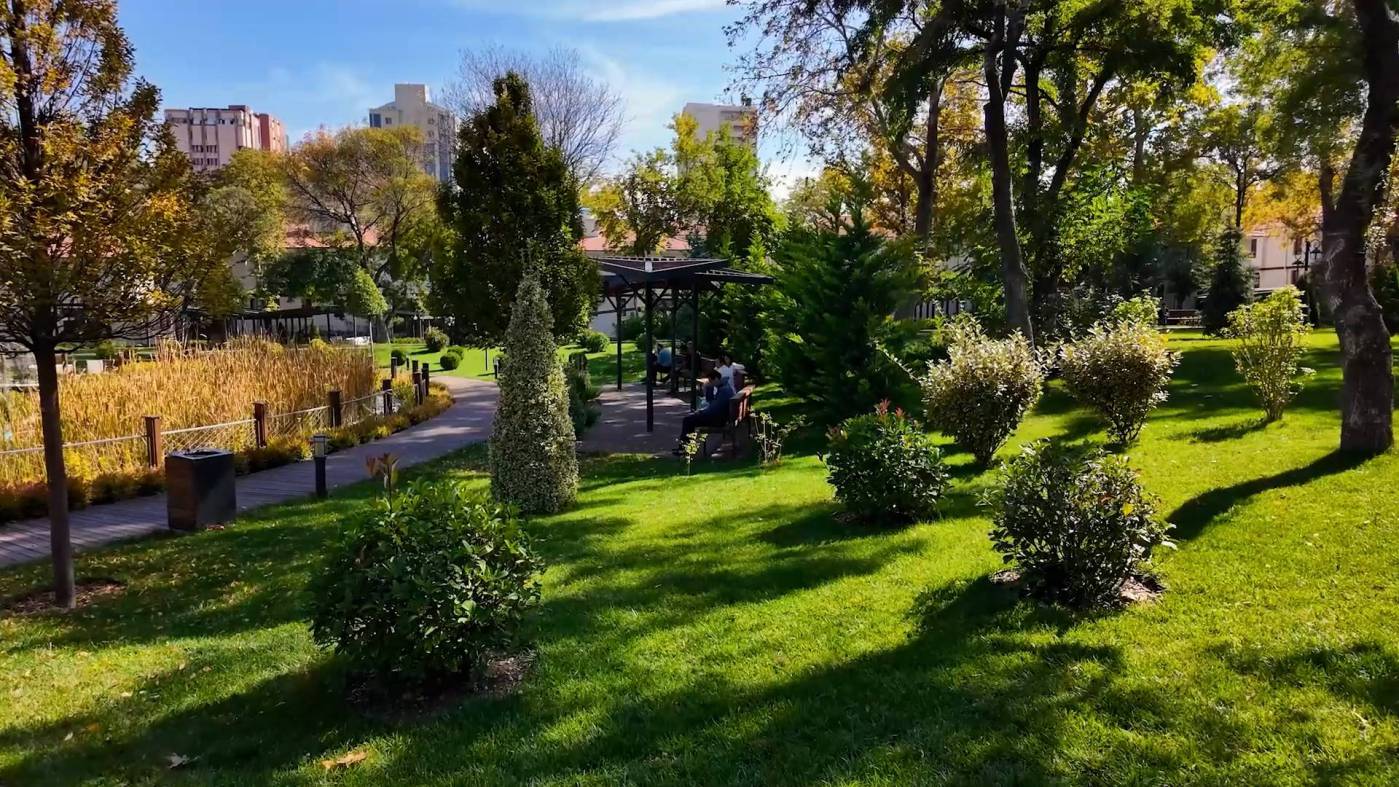 saracoglu--8230-20241103120324